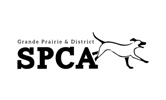 GDP SPCA